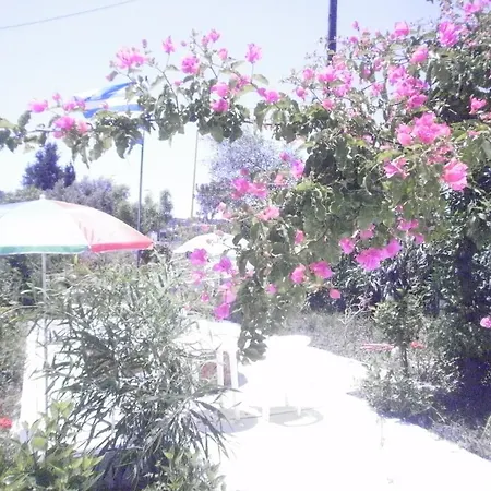 Tassos Aparthotel 2*