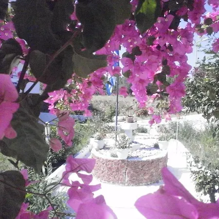 Aparthotel Tassos Faliraki
