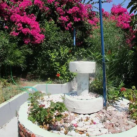 Tassos