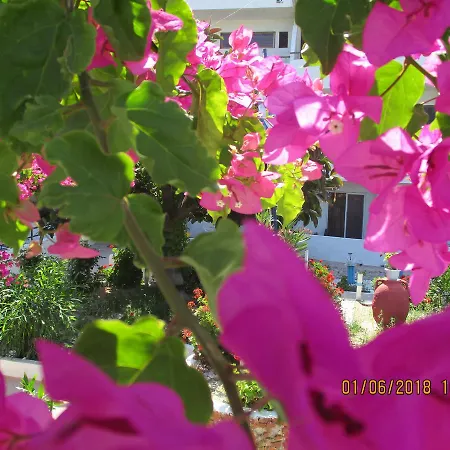 Aparthotel Tassos 2*